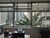 Sala-Conjunto - Foto 7