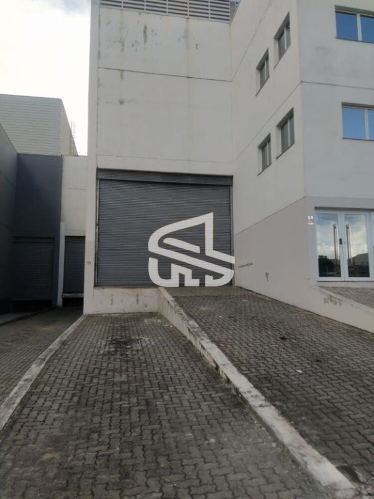 Depósito-Galpão, 1000 m² - Foto 14