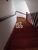 Sobrado, 3 quartos, 227 m² - Foto 2