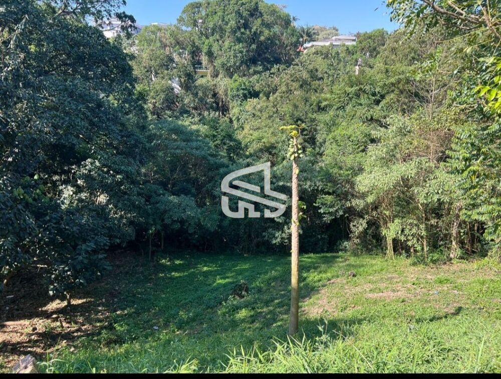 Terreno, 450 m² - Foto 4