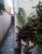 Sobrado, 5 quartos, 150 m² - Foto 18