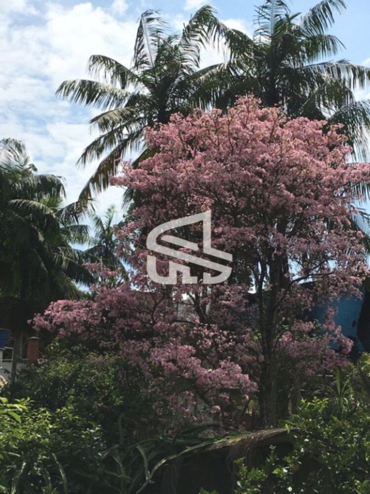 Terreno, 10000 m² - Foto 14