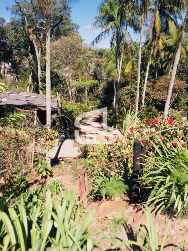 Terreno, 10000 m² - Foto 11