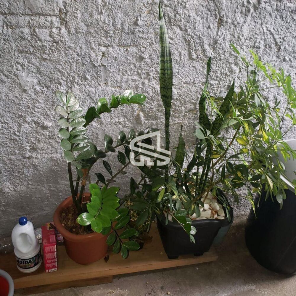 Loja-Salão, 162 m² - Foto 7