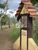 Fazenda, 13 hectares - Foto 1