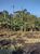 Sítio, 2 quartos, 4 hectares - Foto 3