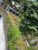 Terreno, 430 m² - Foto 3
