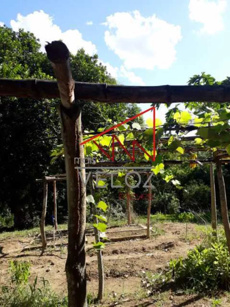 Sítio, 4 quartos, 154 m² - Foto 15