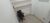 Apartamento, 1 quarto, 36 m² - Foto 7