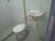 Casa, 1 quarto, 30 m² - Foto 3