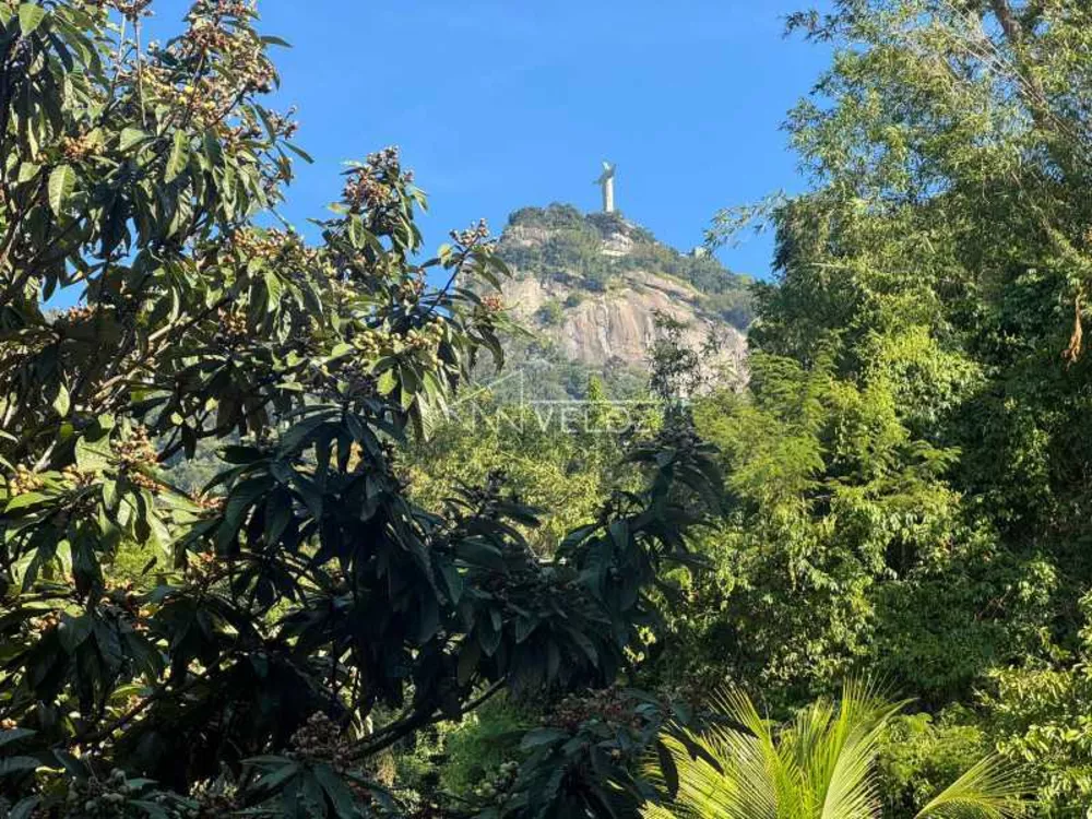 Casa, 4 quartos, 298 m² - Foto 25