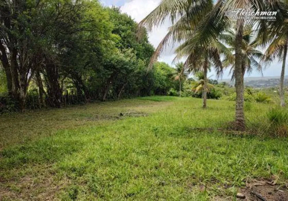 Sítio, 6 hectares - Foto 1