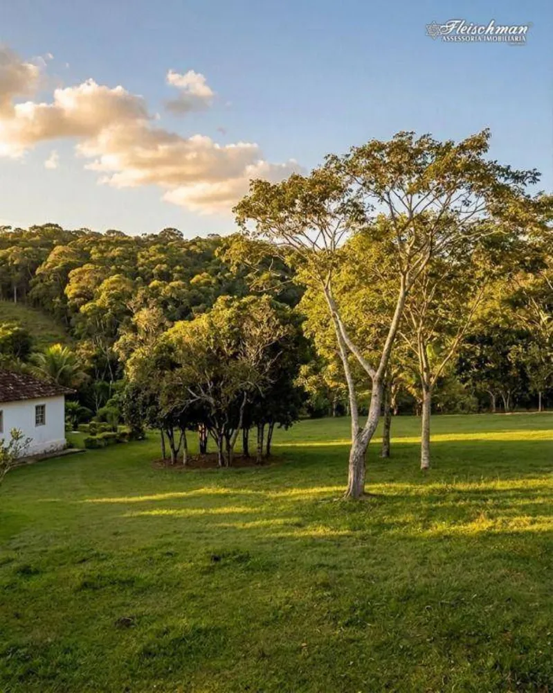 Chácara, 2 quartos, 4 hectares - Foto 3