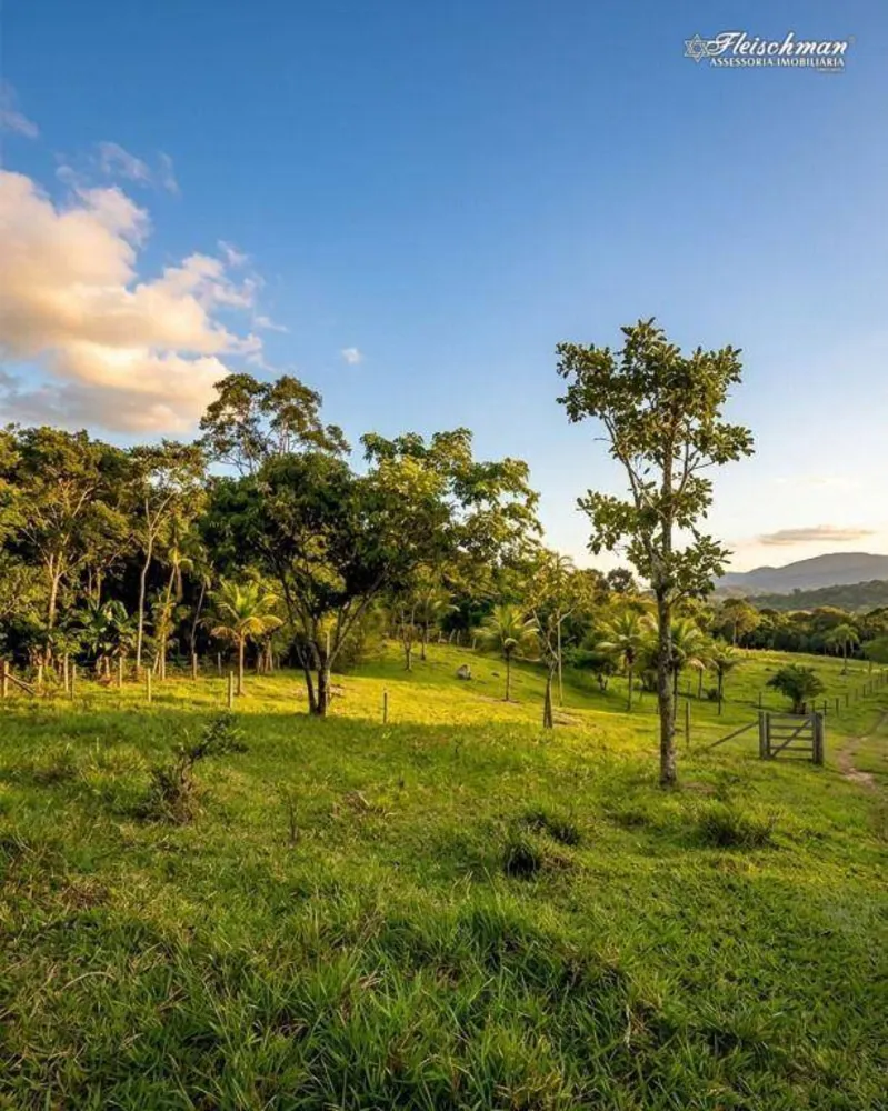 Chácara, 2 quartos, 4 hectares - Foto 4