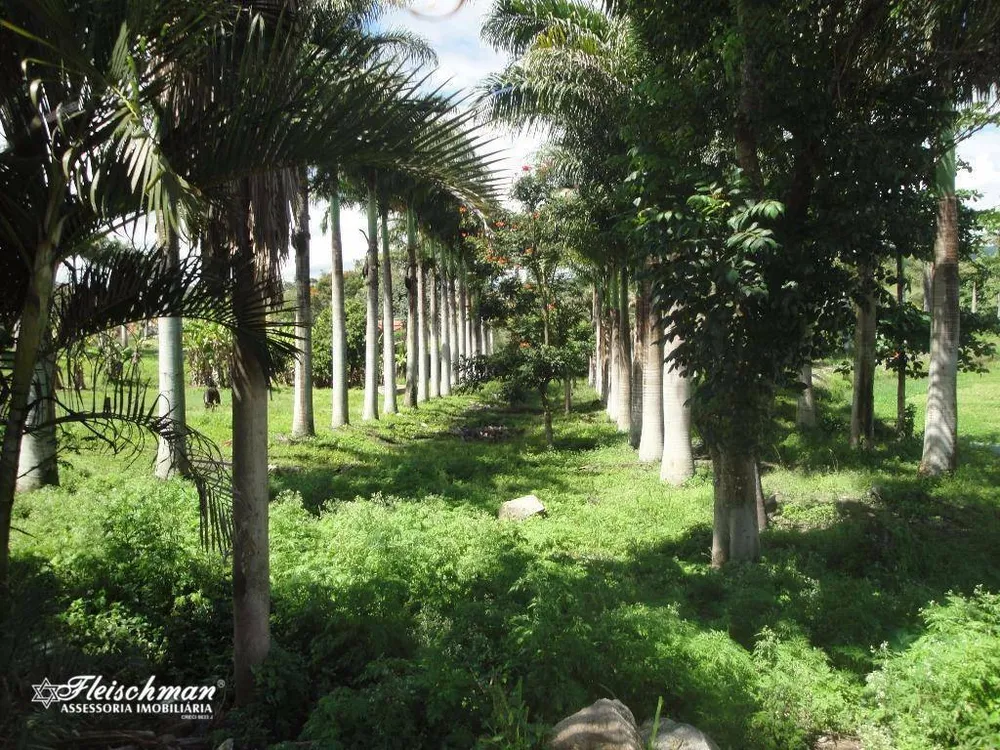 Terreno, 1 hectares - Foto 2