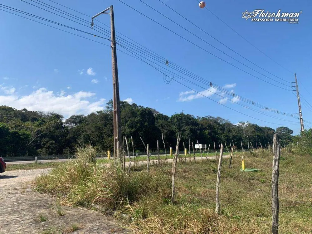 Terreno, 4 hectares - Foto 4