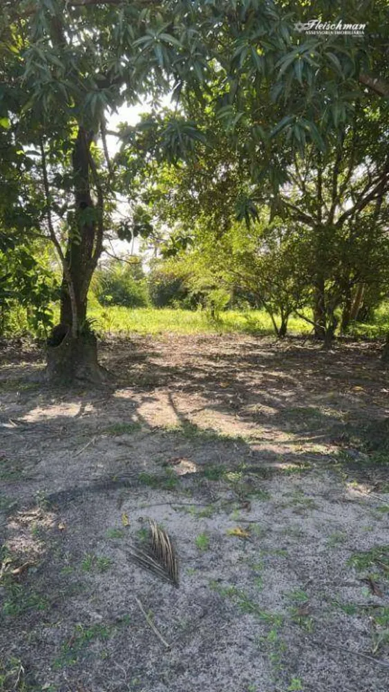 Chácara, 15 hectares - Foto 4