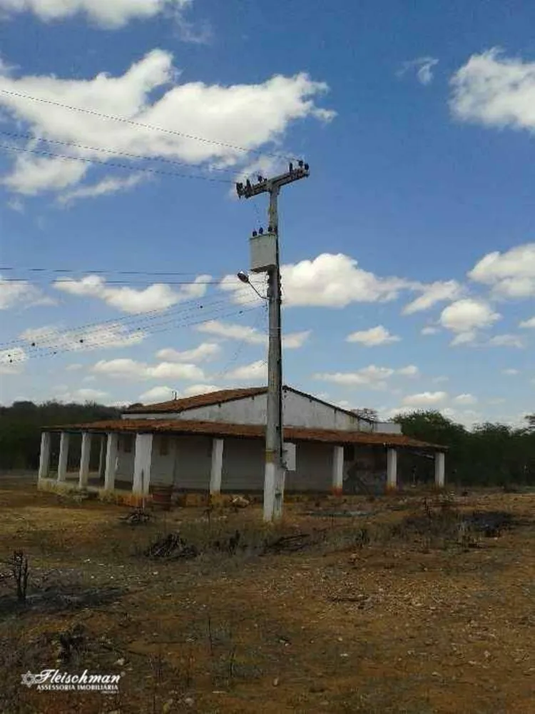 Fazenda, 49 hectares - Foto 4