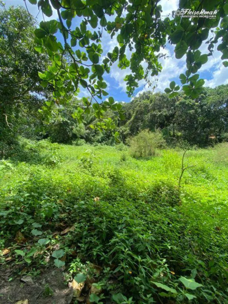 Terreno, 2 hectares - Foto 1