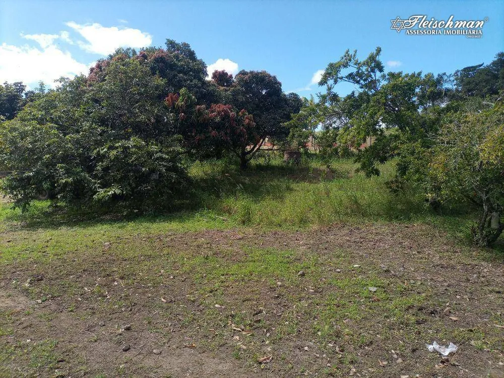 Sítio, 6 quartos, 5000 m² - Foto 4