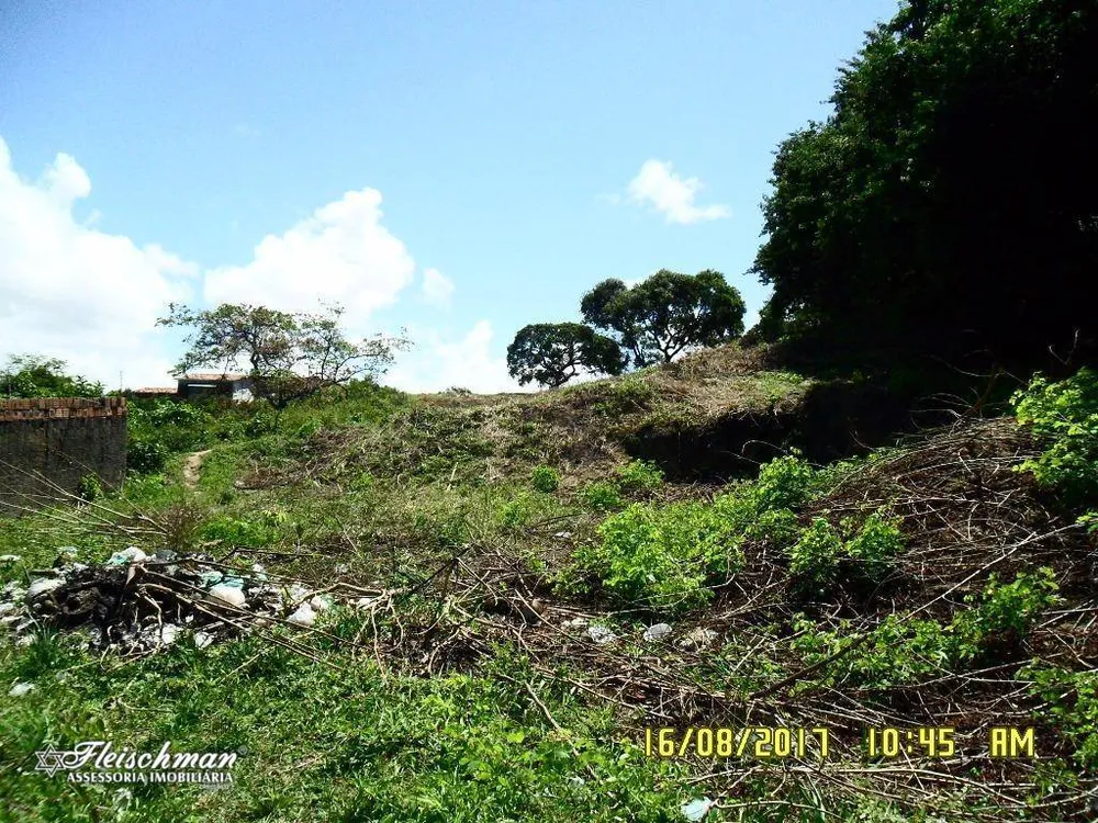 Terreno, 6600 m² - Foto 3