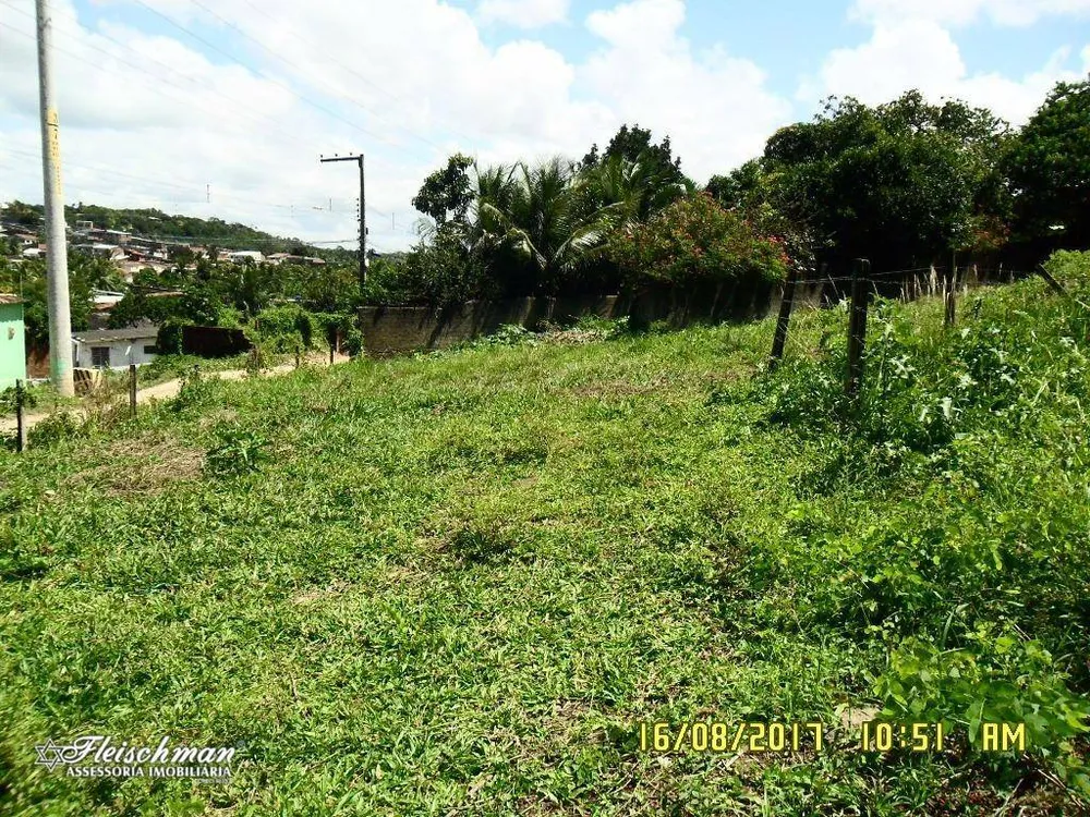 Terreno, 6600 m² - Foto 2