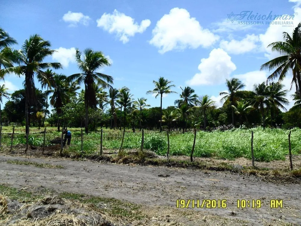 Chácara, 1 quarto, 4 hectares - Foto 2