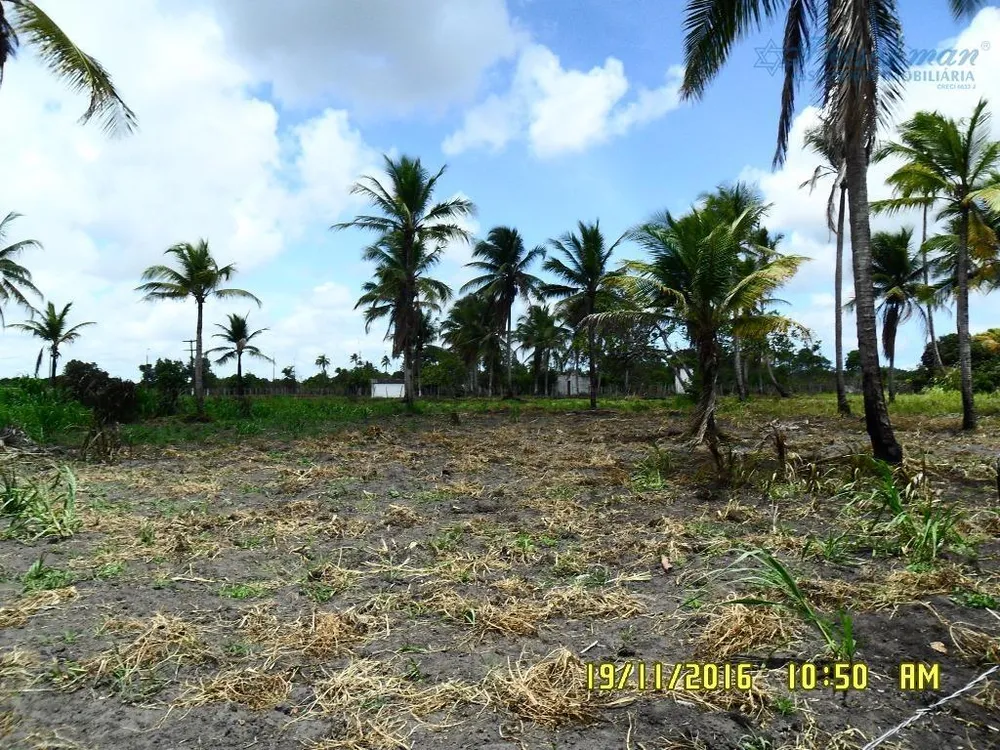 Chácara, 1 quarto, 4 hectares - Foto 4