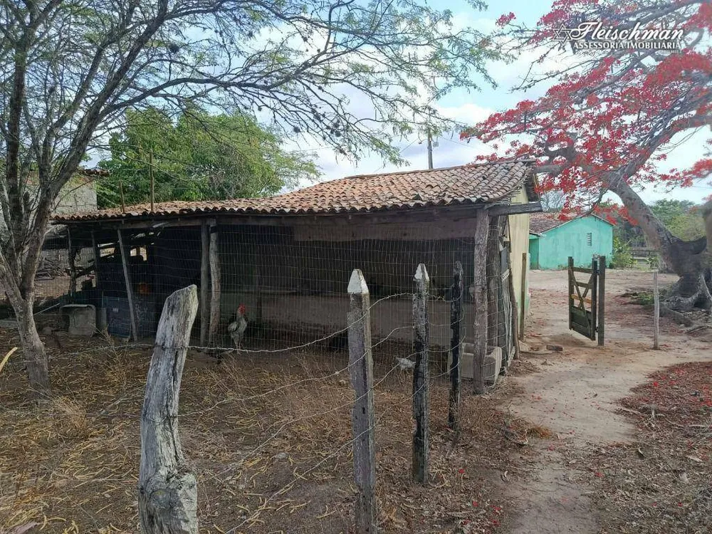 Sítio, 3500 m² - Foto 2