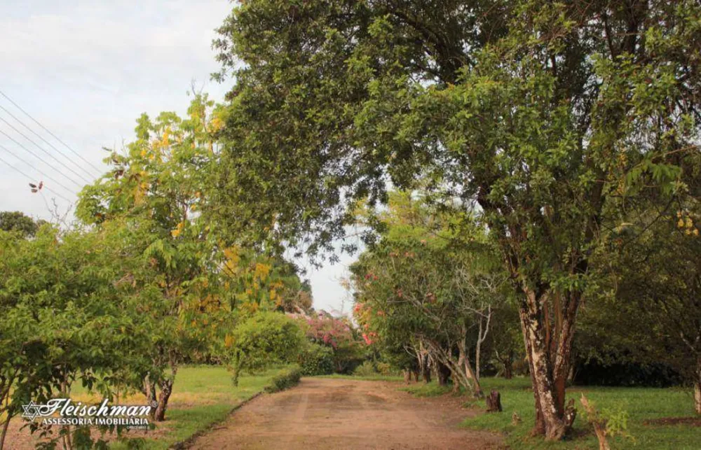 Chácara, 4 quartos, 10 hectares - Foto 4