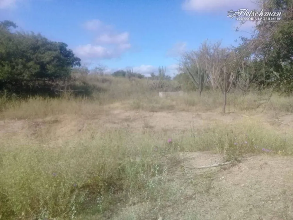Fazenda, 177 hectares - Foto 2