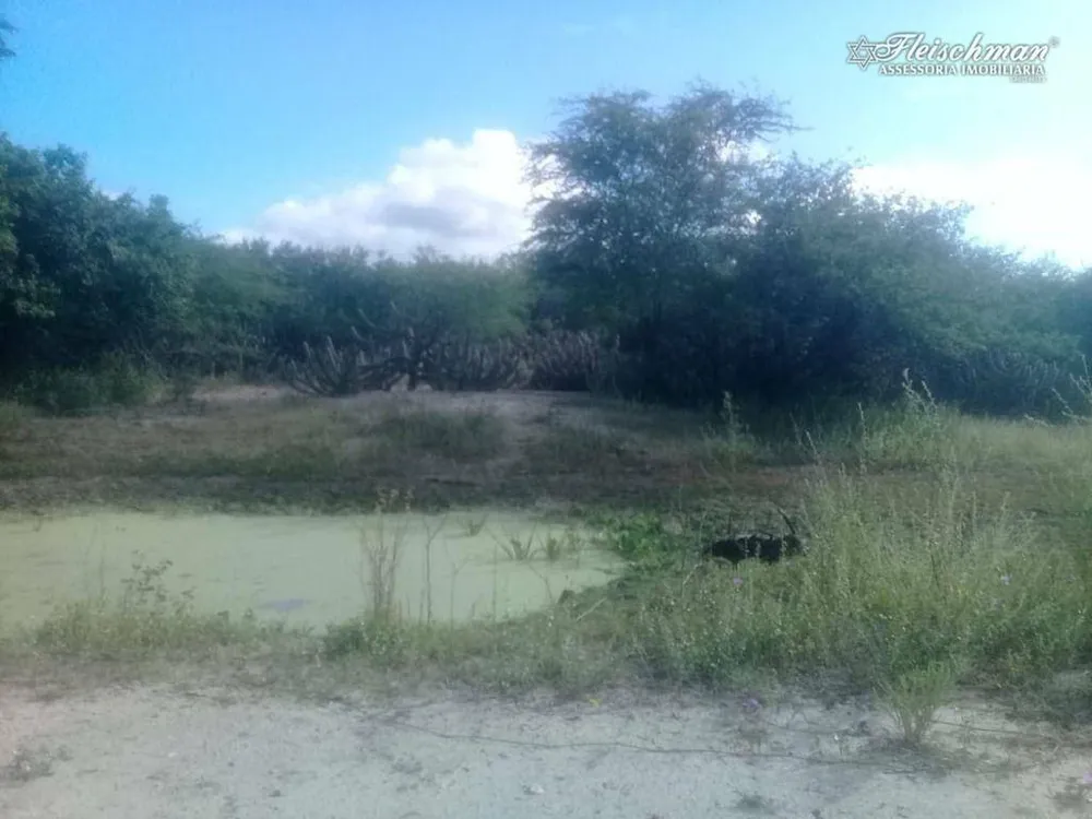 Fazenda, 177 hectares - Foto 4
