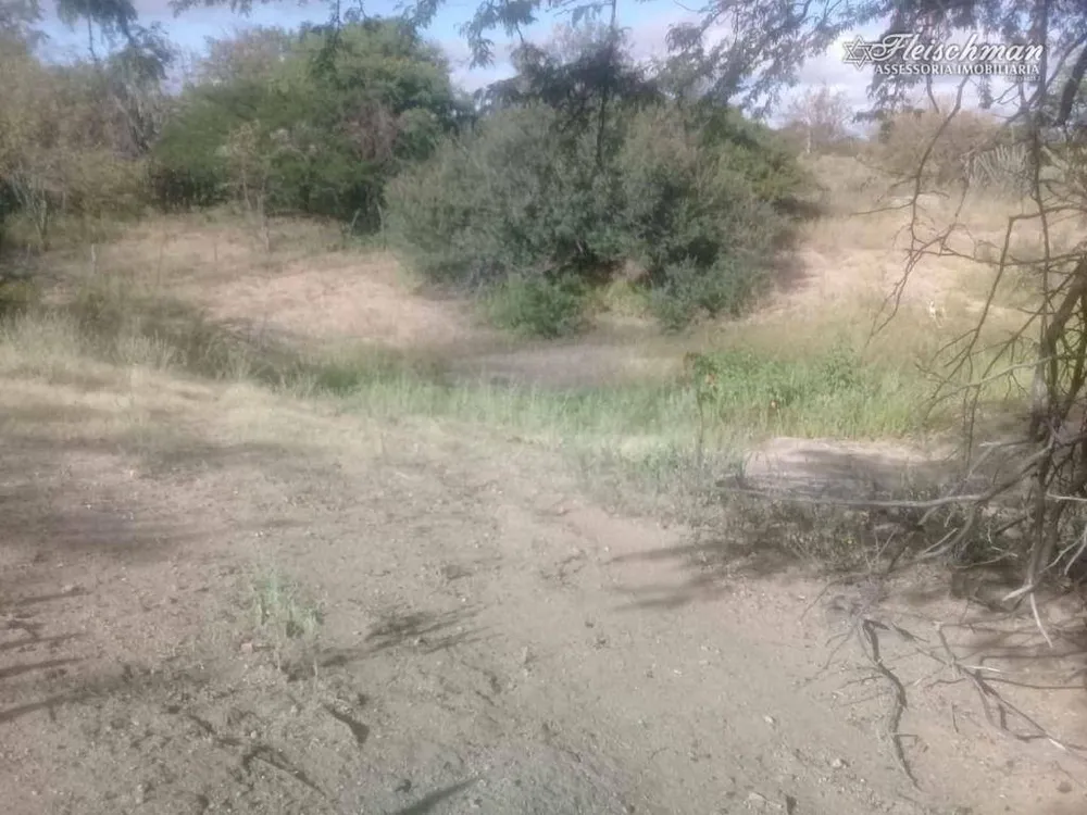Fazenda, 177 hectares - Foto 3