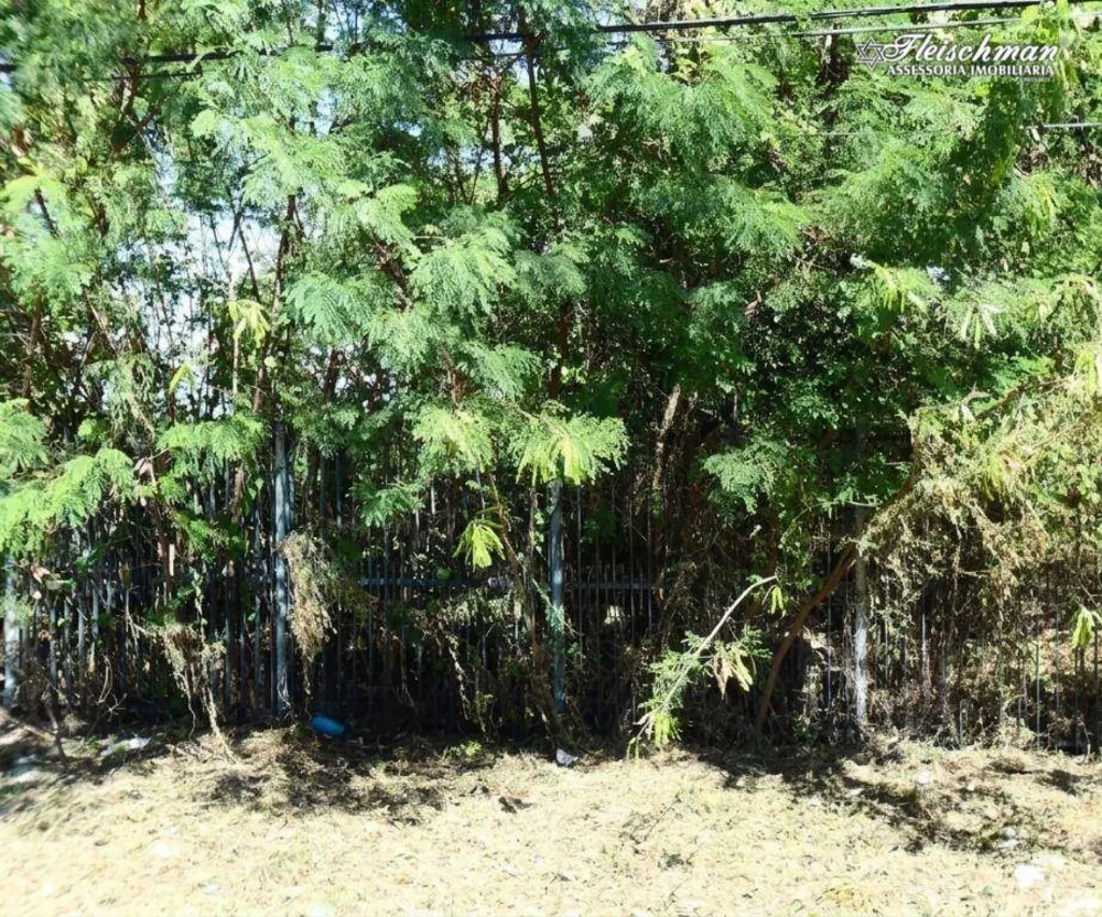 Terreno, 1 hectares - Foto 3