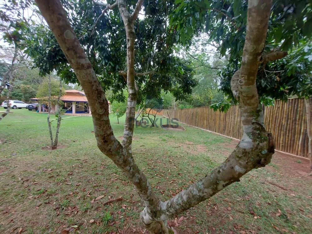 Chácara, 3 quartos, 2308 m² - Foto 3