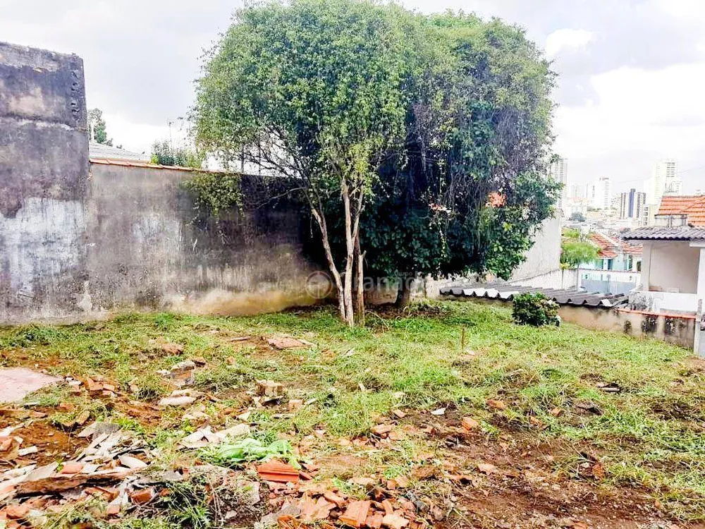 Terreno, 600 m² - Foto 6