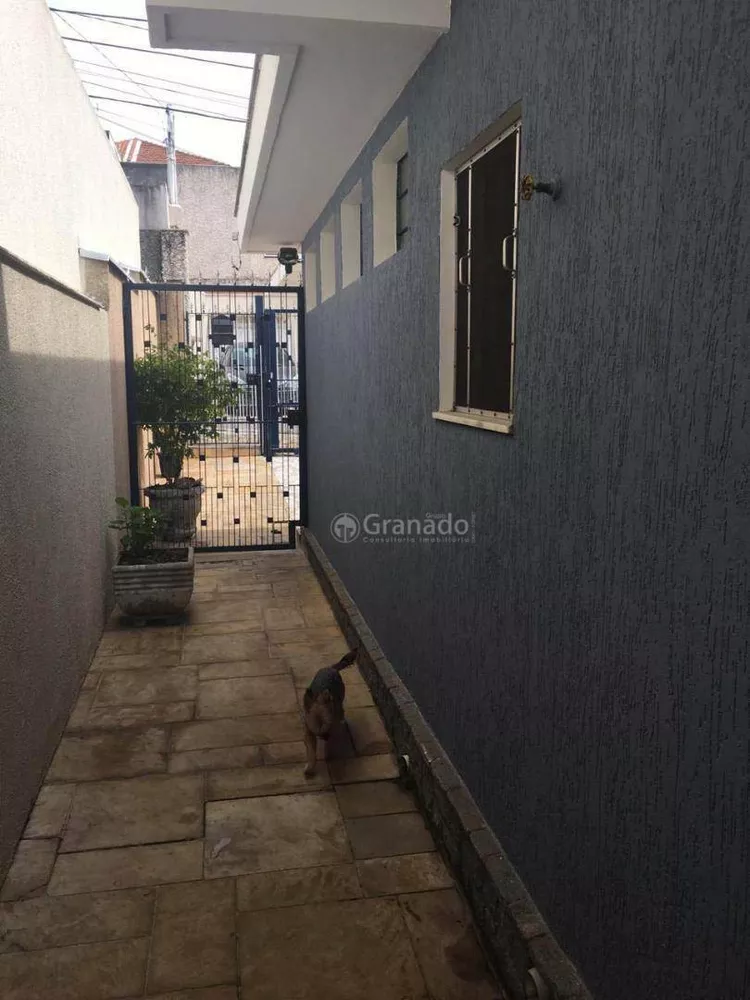 Casa, 3 quartos, 220 m² - Foto 7