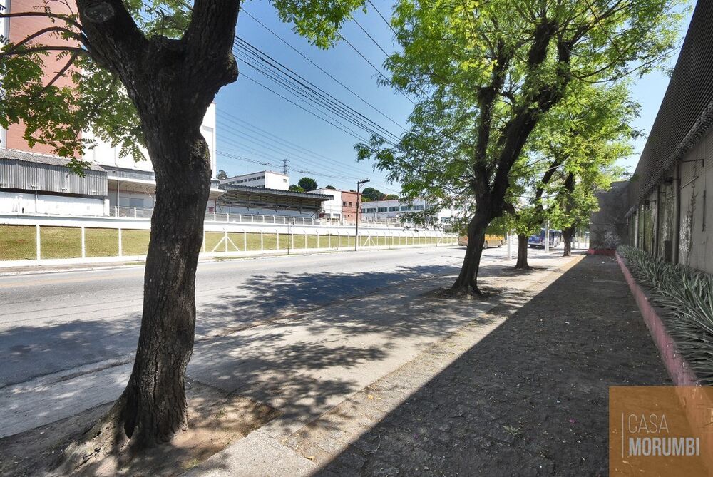 Depósito-Galpão - Foto 5