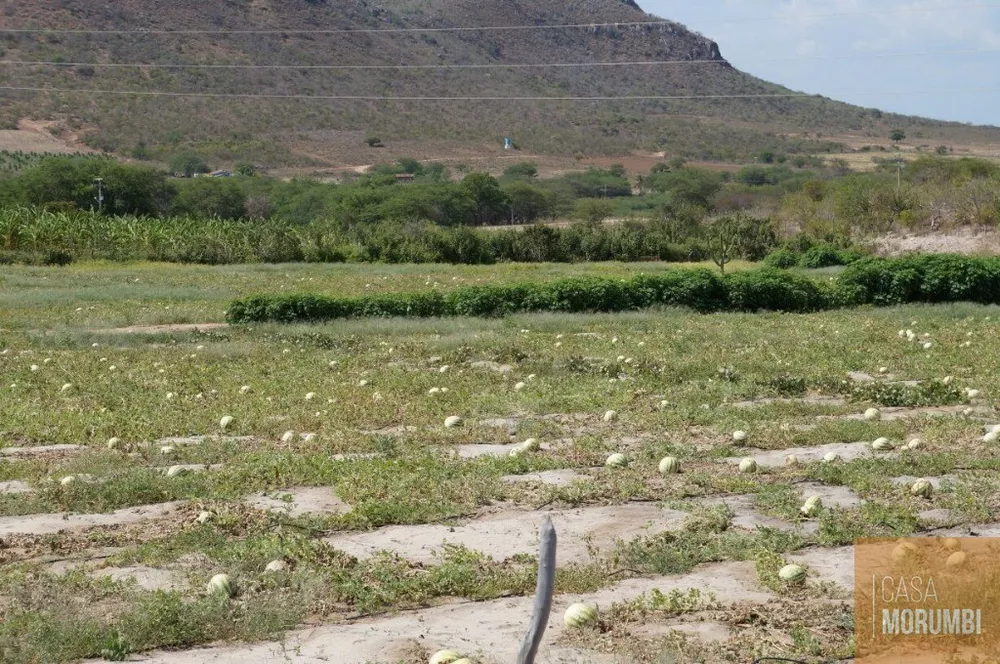 Fazenda à venda com 1 quarto, 16000m² - Foto 1