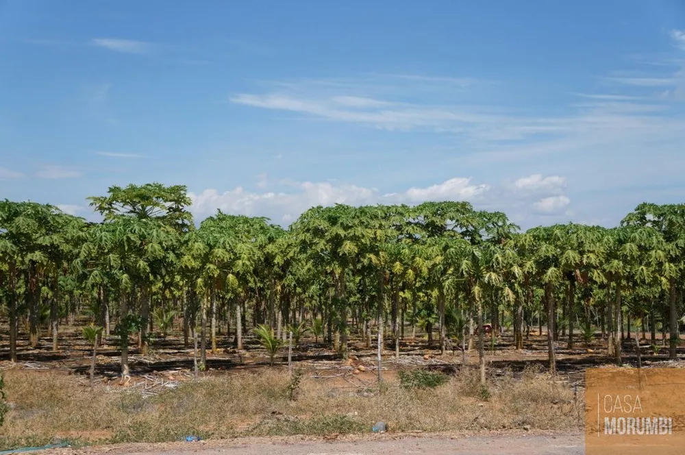 Fazenda à venda com 1 quarto, 16000m² - Foto 3