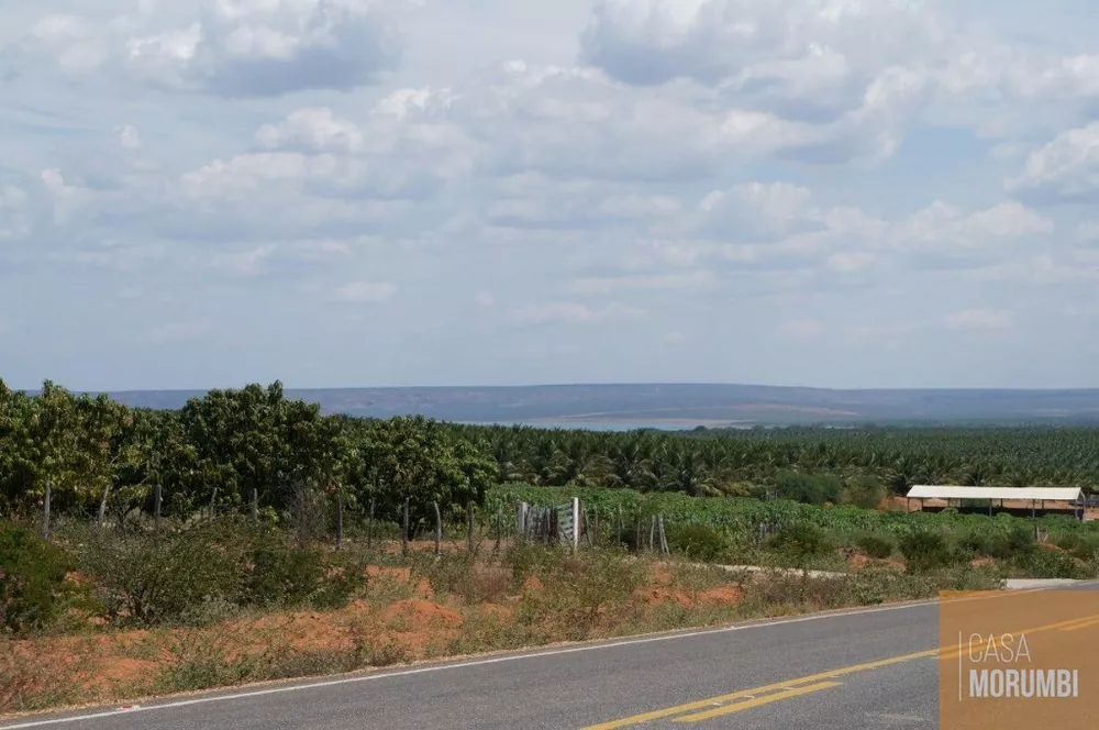 Fazenda à venda com 1 quarto, 16000m² - Foto 8