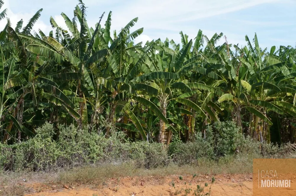 Fazenda à venda com 1 quarto, 16000m² - Foto 2