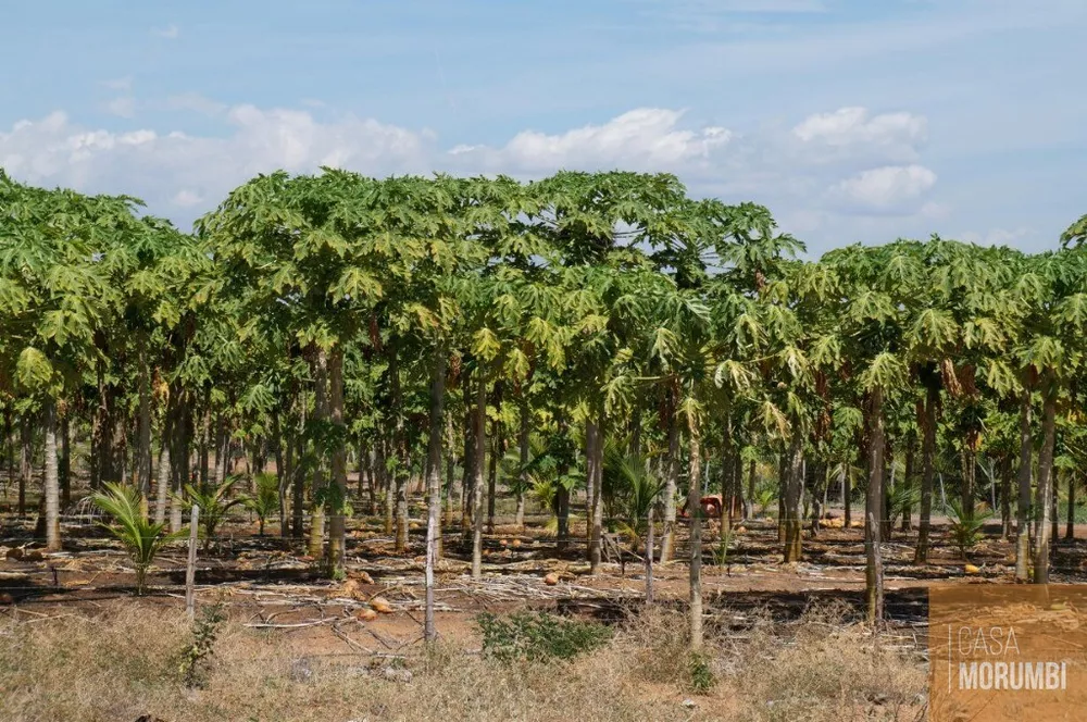 Fazenda à venda com 1 quarto, 16000m² - Foto 6