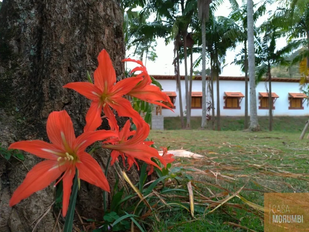 Fazenda, 384 m² - Foto 7