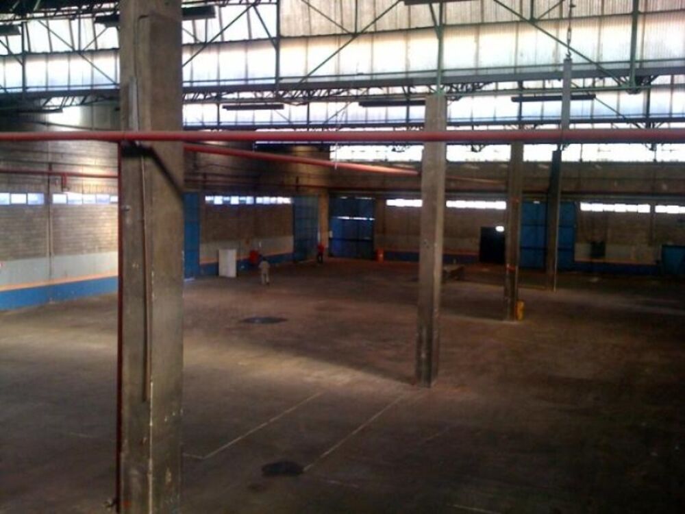 Depósito-Galpão - Foto 3