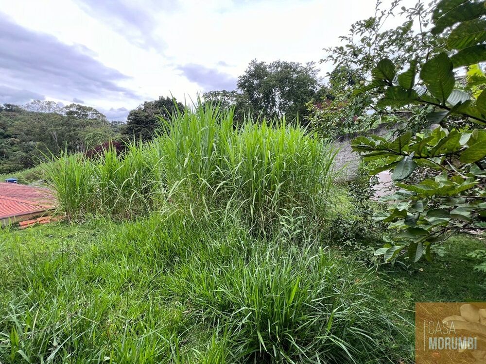 Chácara à venda com 4 quartos, 2000m² - Foto 7