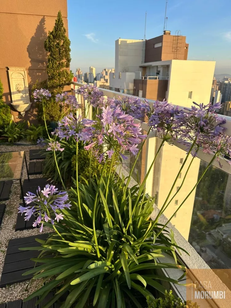 Cobertura, 3 quartos, 285 m² - Foto 1