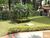 Apartamento, 3 quartos, 75 m² - Foto 8