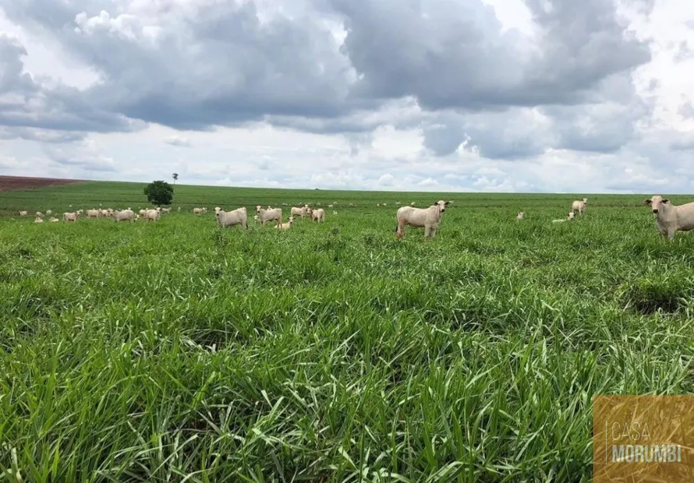 Fazenda, 5068 m² - Foto 7