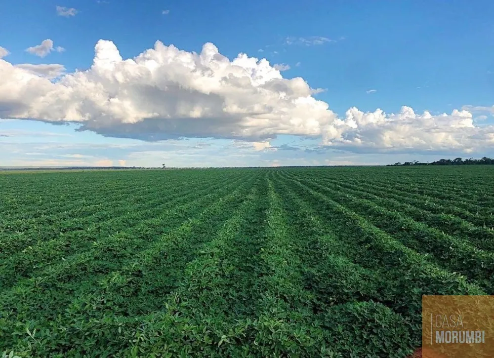 Fazenda, 5068 m² - Foto 8